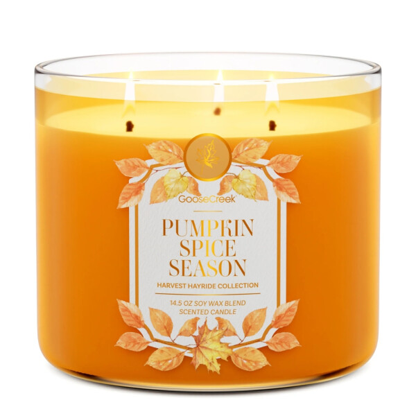 Pumpkin Spice Season 3-Docht-Kerze 411g