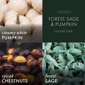 Forest Sage & Pumpkin 3-Wick-Candle 411g