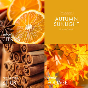 Autumn Sunlight 3-Wick-Candle 411g