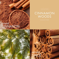 Cinnamon Woods 3-Wick-Candle 411g