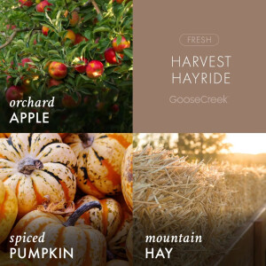 Harvest Hayride Wachsmelt 59g