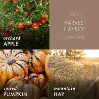 Harvest Hayride Wachsmelt 59g