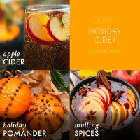 Holiday Cider Waxmelt 59g