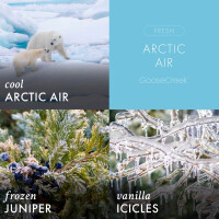 Arctic Air 3-Docht-Kerze 411g