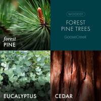 Forest Pine Trees Schaumseife 270ml