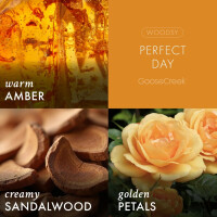 Perfect Day Body Spray 236ml