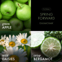 Spring Forward 3-Wick-Candle 411g