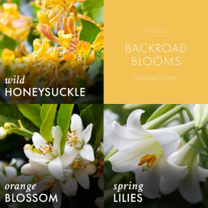 Backroad Blooms 3-Docht-Kerze 411g
