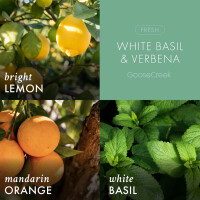 White Basil & Verbena 3-Docht-Kerze 411g