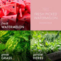Fresh Picked Watermelons 3-Wick-Candle 411g