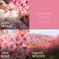 Sugared Peony 3-Wick-Candle 411g