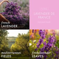 Lavender de France 3-Docht-Kerze 411g