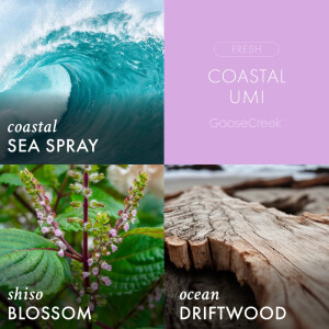 Coastal Umi 3-Docht-Kerze 411g