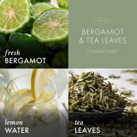 Bergamot & Tea Leaves 3-Docht-Kerze 411g