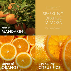 Sparkling Orange Mimosa 3-Docht-Kerze 411g