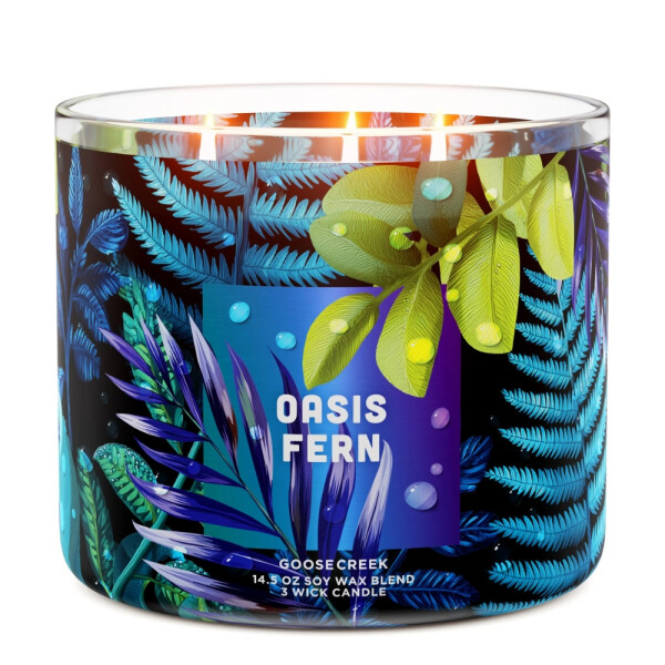 Oasis Fern 3-Wick-Candle 411g
