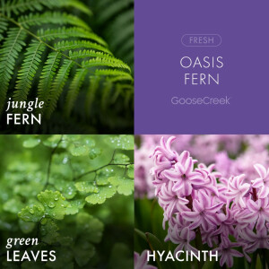 Oasis Fern 3-Wick-Candle 411g