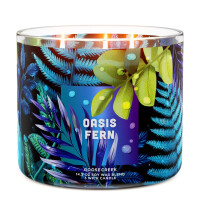 Oasis Fern 3-Wick-Candle 411g