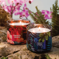 Oasis Fern 3-Wick-Candle 411g