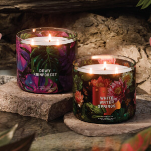 Dewy Rainforest 3-Docht-Kerze 411g