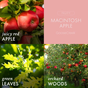 Macintosh Apple 3-Docht-Kerze 411g