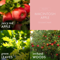 Macintosh Apple 3-Docht-Kerze 411g