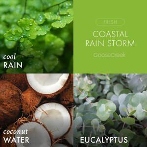 Coastal Rain Storm 3-Wick-Candle 411g