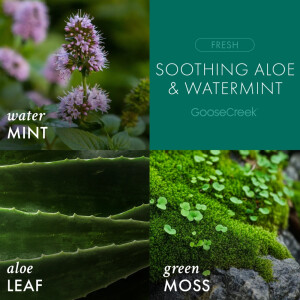 Soothing Aloe &amp; Watermint 3-Docht-Kerze 411g