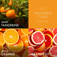 Tangerine Coast 3-Docht-Kerze 411g