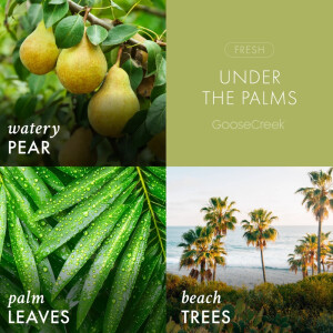 Under the Palms 3-Docht-Kerze 411g