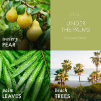 Under the Palms 3-Docht-Kerze 411g