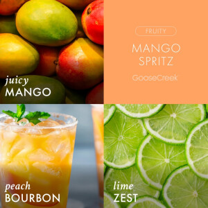 Mango Spritz 3-Docht-Kerze 411g