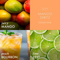 Mango Spritz 3-Docht-Kerze 411g