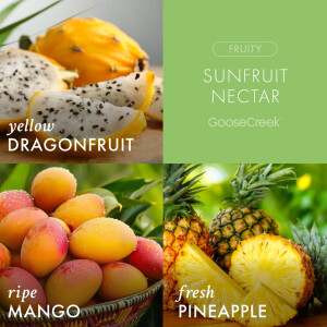 Sunfruit Nectar 3-Docht-Kerze 411g