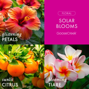 Solar Blooms 3-Docht-Kerze 411g
