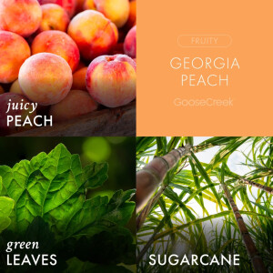 Georgia Peach 1-Docht-Kerze 198g