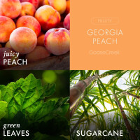 Georgia Peach 1-Docht-Kerze 198g