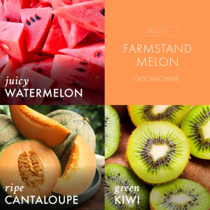 Farmstand Melon 1-Docht-Kerze 198g