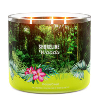 Shoreline Woods 3-Docht-Kerze 411g