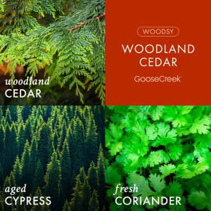 Woodland Cedar 3-Docht-Kerze 411g