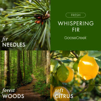 Whispering Fir 3-Docht-Kerze 411g