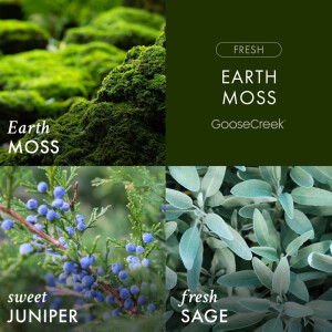 Earth Moss 3-Docht-Kerze 411g