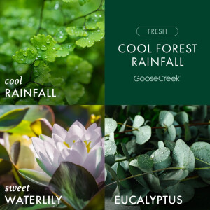 Cool Forest Rainfall 3-Docht-Kerze 411g