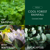 Cool Forest Rainfall 3-Wick-Candle 411g