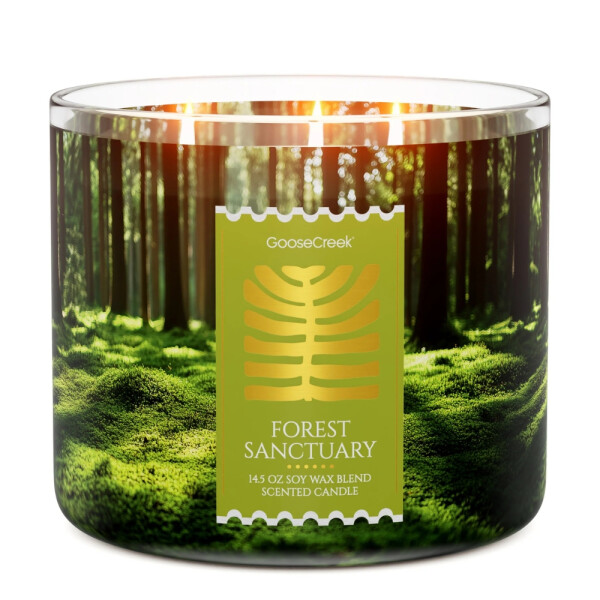 Forest Sanctuary 3-Docht-Kerze 411g