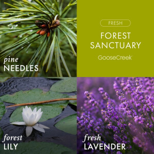 Forest Sanctuary 3-Docht-Kerze 411g