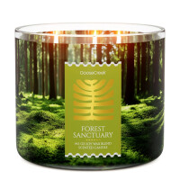 Forest Sanctuary 3-Docht-Kerze 411g