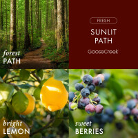 Sunlit Path 3-Wick-Candle 411g