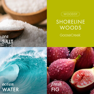 Shoreline Woods Schaumseife 270ml