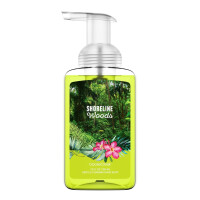 Shoreline Woods Schaumseife 270ml